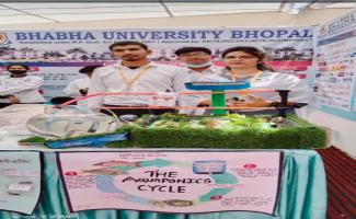 aquaponics cycle