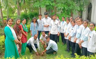 PLANTATION